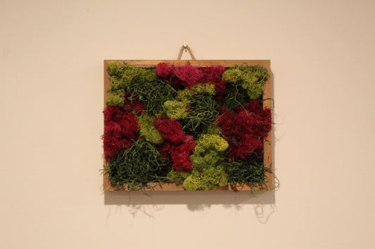 Preserved Moss Wall Art