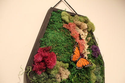 Preserved Moss Wall Art - Coffin